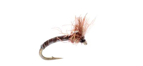 No Name Midge Variant